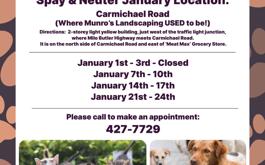 Cleo’s Community Locations: Carmichael Road (where Munro’s Landscaping USED to be!), January 1-31, 2026