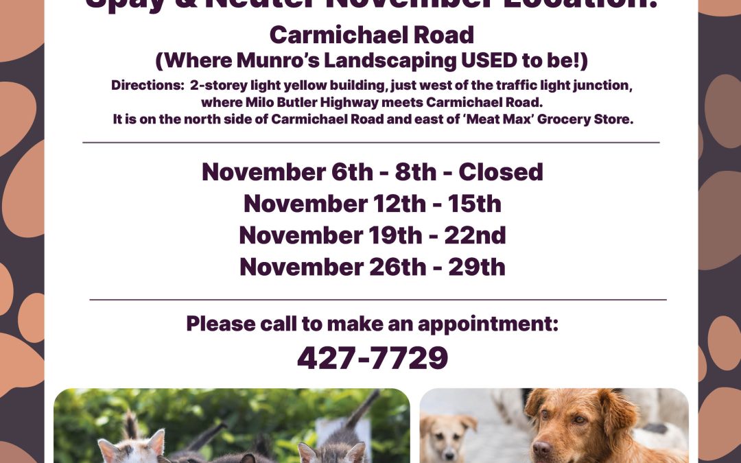 Cleo’s Community Locations: Carmichael Road (where Munro’s Landscaping USED to be!), November 6-29, December 2-31, 2025