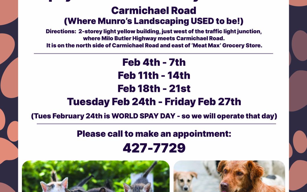 Cleo’s Community Locations: Carmichael Road (where Munro’s Landscaping USED to be!), February 4-27, March 4-28, March 31-May 2, April 29-May 30, 2026